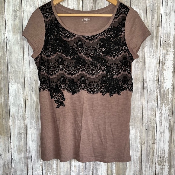 Loft Brown & Lace Top Tee - Picture 1 of 4